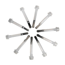 Load image into Gallery viewer, Replacement brushes