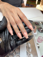 Load image into Gallery viewer, Delicate- 026