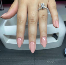 Load image into Gallery viewer, Blushy Rose- 020