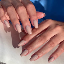 Load image into Gallery viewer, Toasty - 077