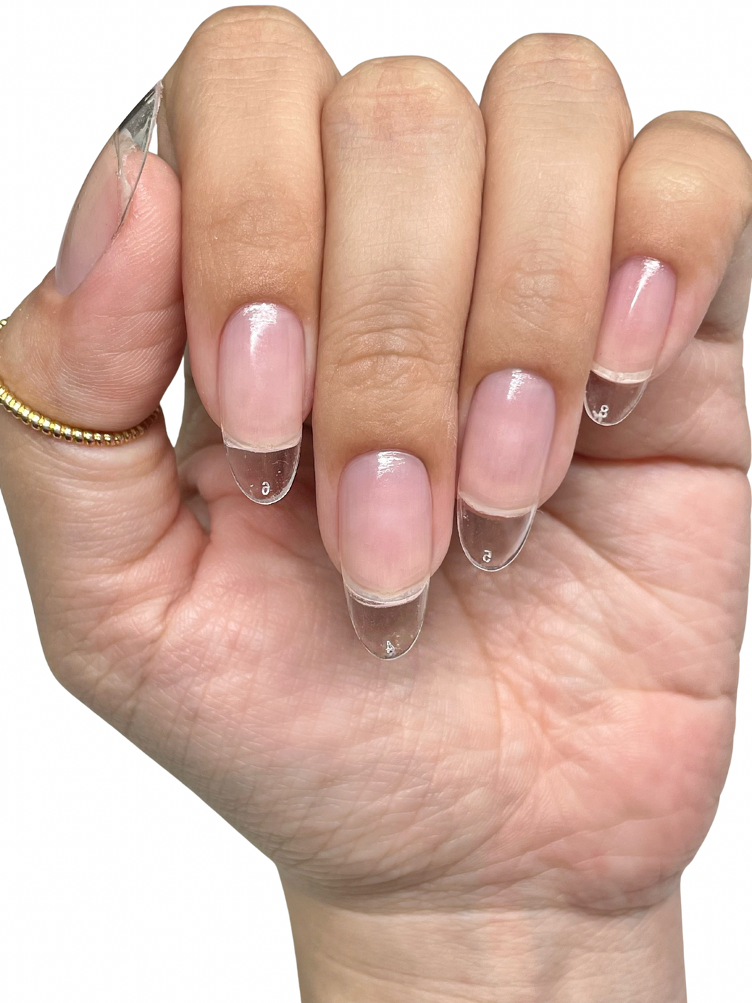 Medium Round - Soft Gel