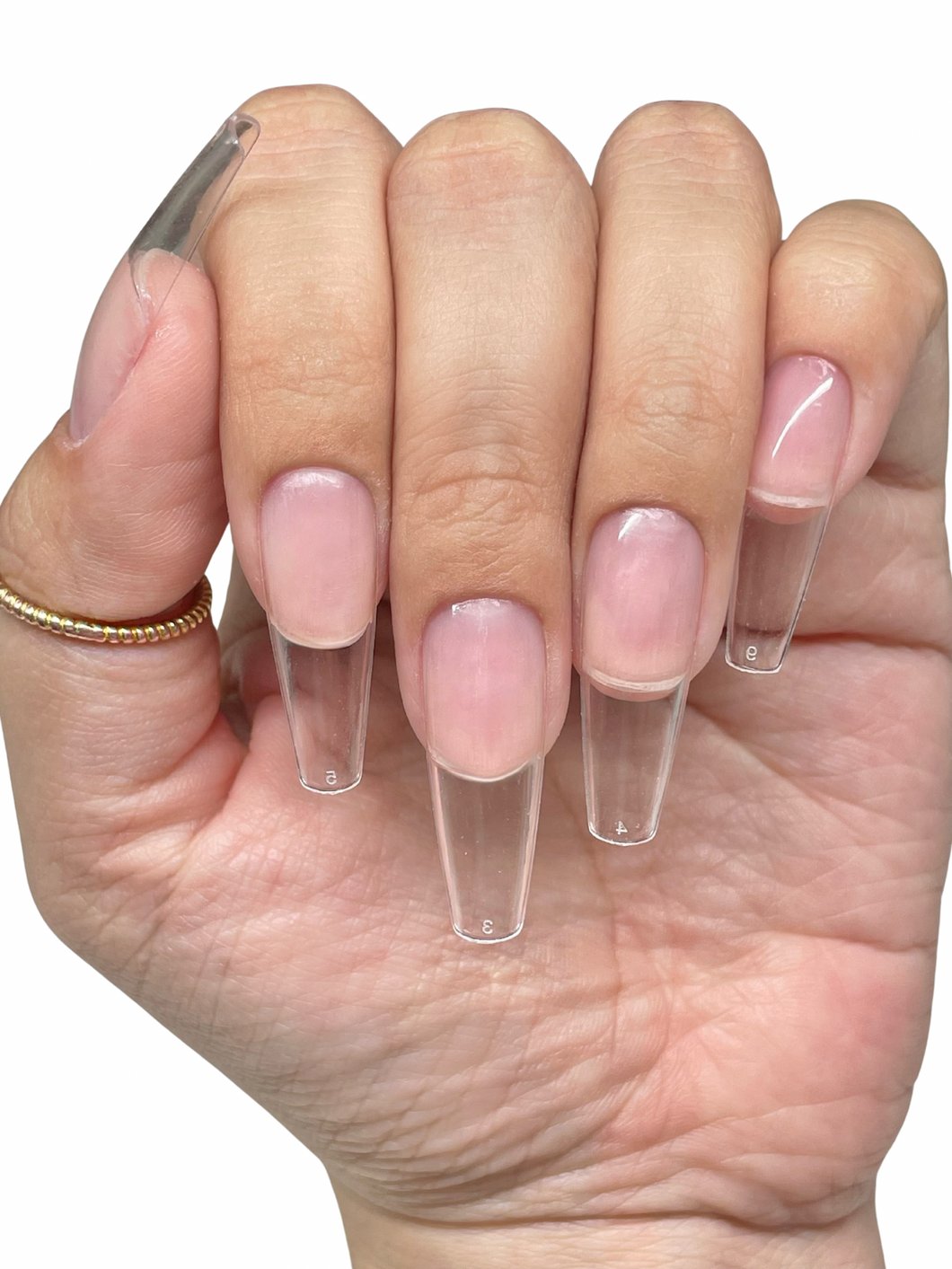 Large Coffin- Soft Gel